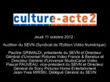 Mission culture-acte2 | audition du SEVN - Syndicat de l'Edition Vidéo Numérique [audio]