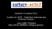 Mission culture-acte2 | audition de la FNCF - Fédération Nationale des Cinémas Français [audio]