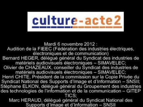 Mission culture-acte2 | audition de la FIEEC (Fédération des industries électriques, électroniqu