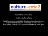 Mission culture-acte 2 | audition de Terra Nova [audio]