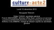 Mission culture-acte 2 | Audition de Bouygues Telecom [audio]