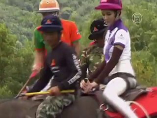 Тайцы уселись на слонов и взяли в руки клюшки