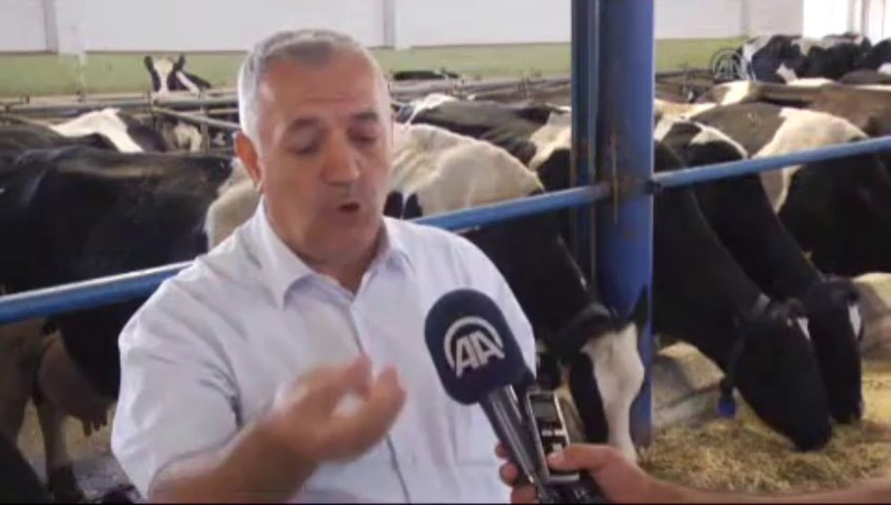 Bu  "cips" hayvanlar için