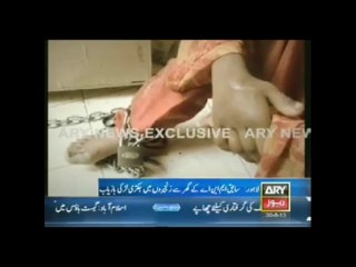 Johar Town Lahore
