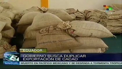 Ecuador impulsa exportaciones de cacao