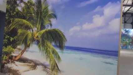 Présentation du salon Art-O-Rama 2013 avec un exposant