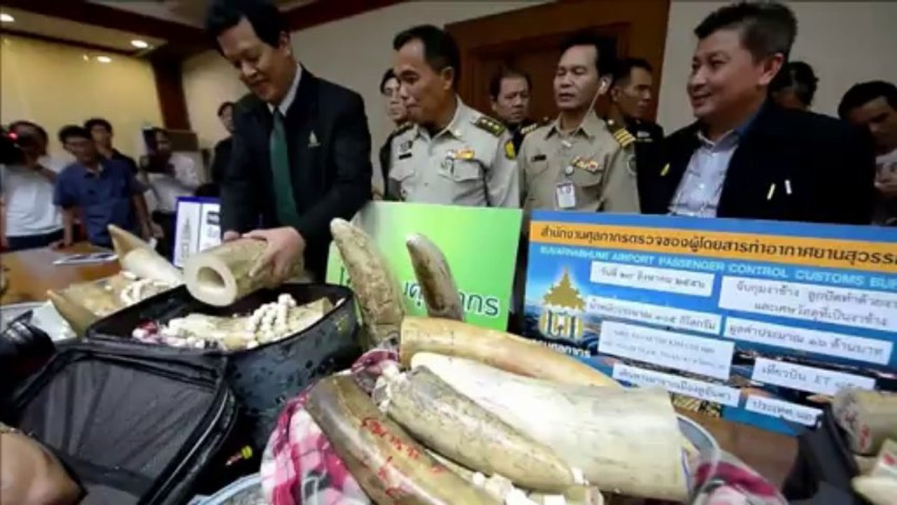 Bangkok: des trafiquants arrêtés avec plus de 100 kilos d'ivoire