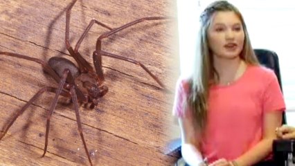 Girl Calls Cops to Kill Spider, Is Totally Justified