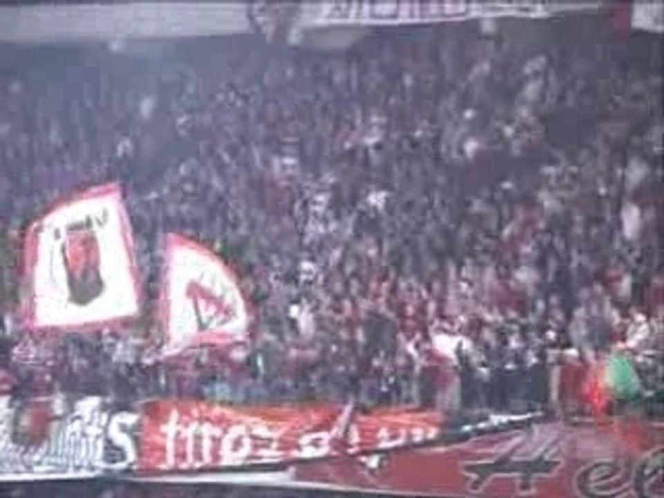 standard de liege