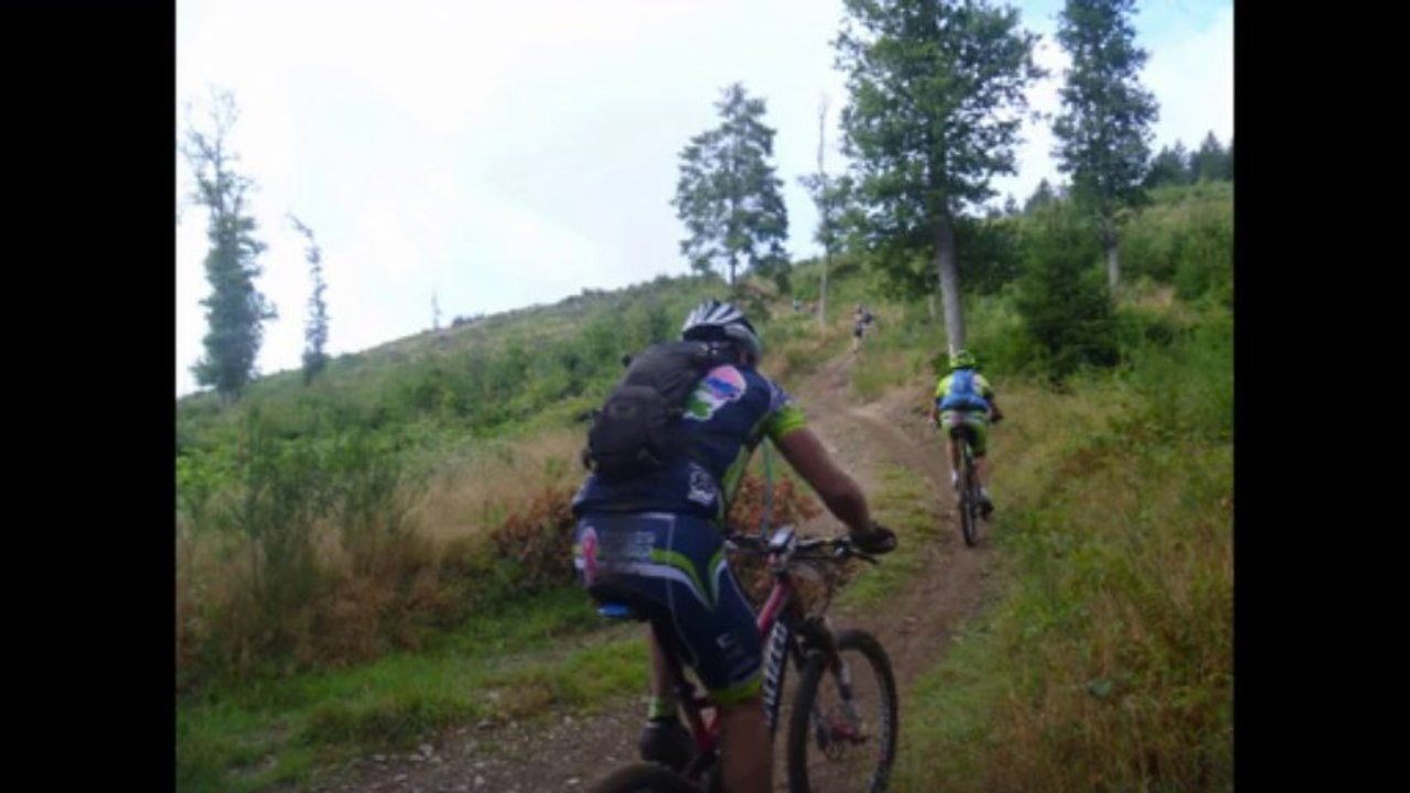 houffamarathon2013