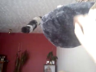 Ares-Apollo doesn't share his bed