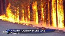 Incendio forestal en Yosemite