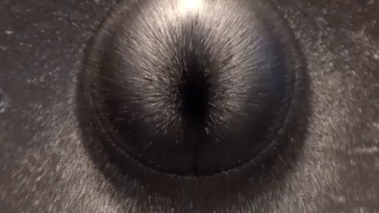 Black hole