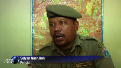 Os macacos de circo da Indonésia