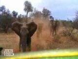 Elephant ATTACKS Safari Jeep | EXCLUSIVE Footage [Never Before Seen]
