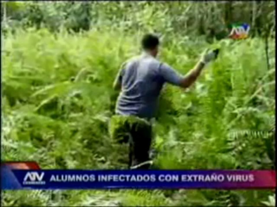 ATV-NOTICIAS 0829
