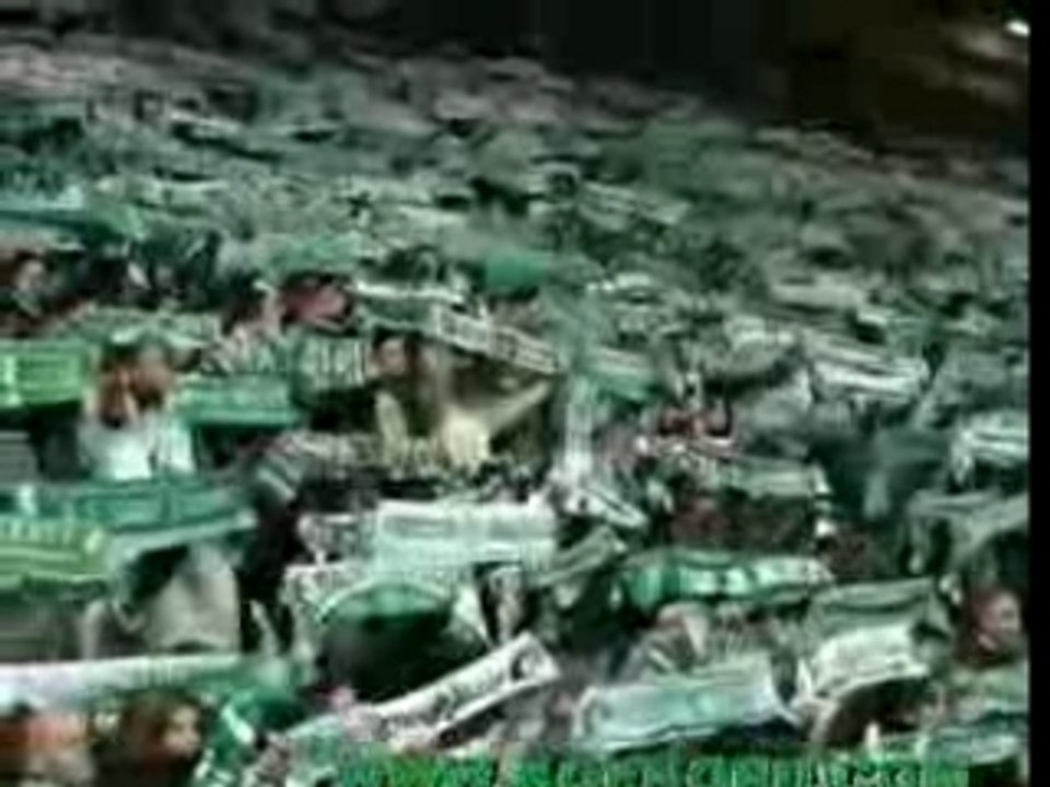 ULTRAS ASSE Magic fans kop norl