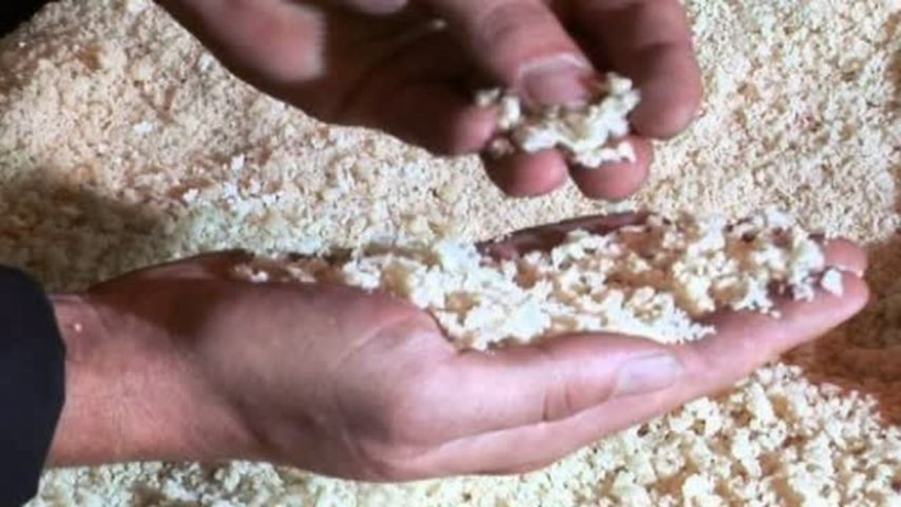 Aktie im Fokus: Lanxess will Ärmel aufkrempeln - Kurs steigt