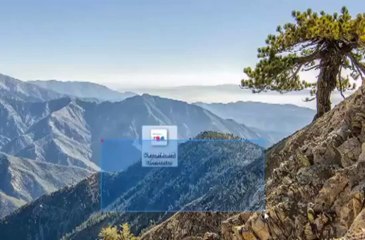 Paysafecard Code Generator 2013 september