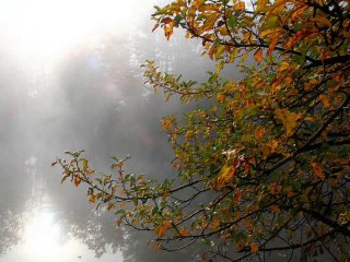 Kenny G - Everlasting