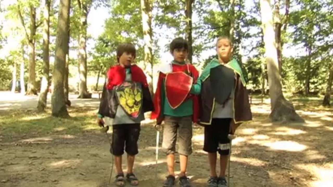 Les Chevaliers de la Table Ronde