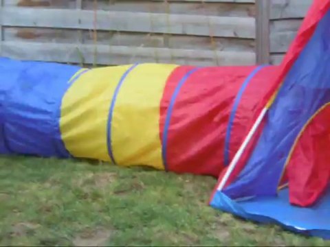 Geisha des Steppes Perdues (CHEYENNE de SAINT QUINIS X UCELLO du DOLON / Portée des G 2011) & Iowa du Ranch de la Rivière Espérance, 2013-08-30