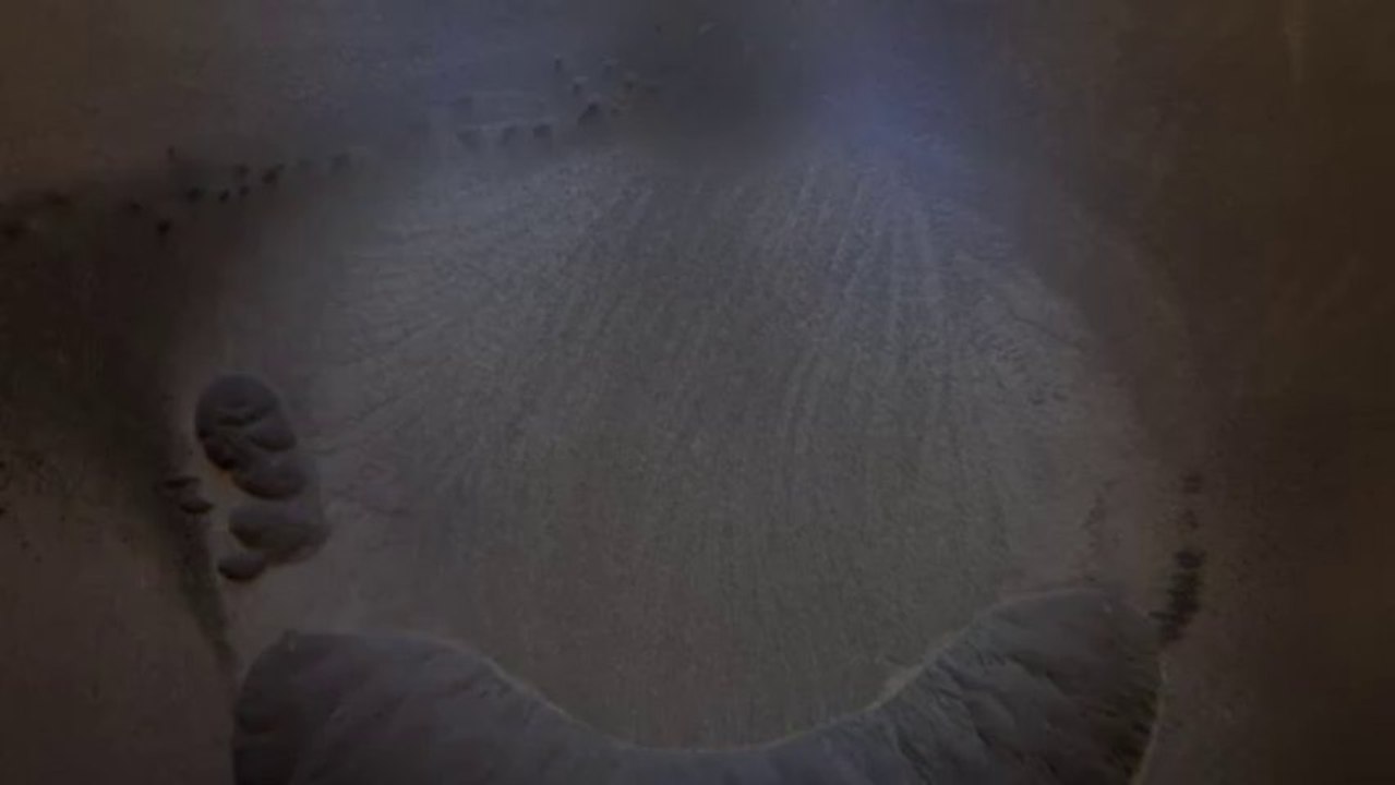 Dolphin powder