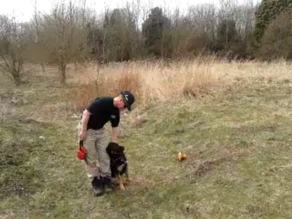 k9 Dog Team NRW  und SRS Rettungshundeteam bei Fußßßßßß in bewegung bleiben..