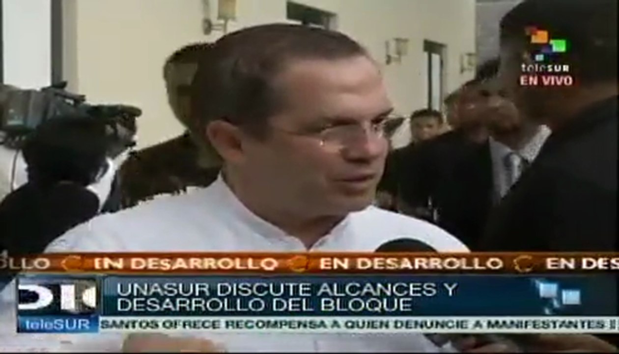 Cancilleres de Unasur consensuaron rechazo a intervención en Siria