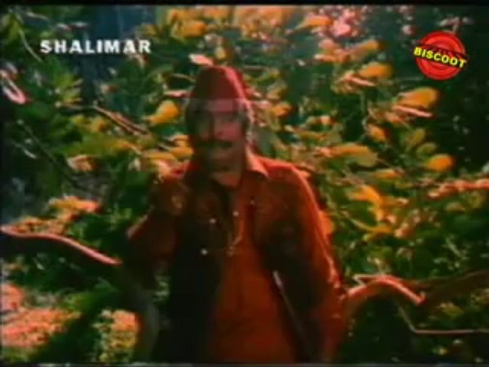 Donga Kollu