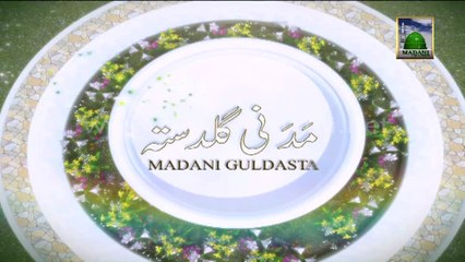 Useful Information 339 - Muzdalifah me Kitni Dair Rukna Chahiye - Maulana Ilyas Qadri