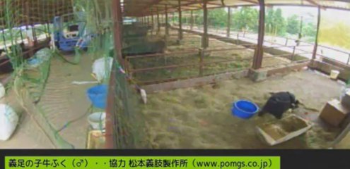 2013-08-27 21-36　女性ボラさん