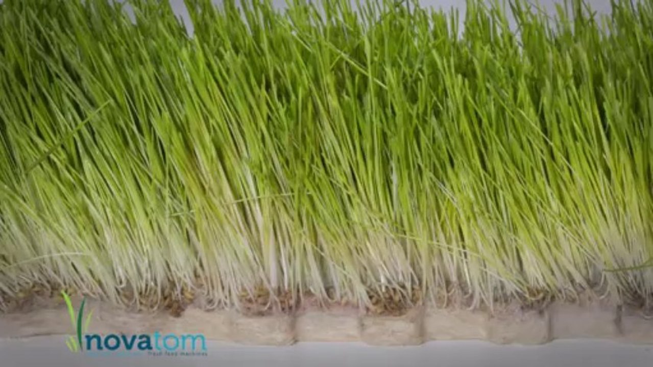 NOVATOM Taze Yem Ot Makinaları 2013 Bereket TV Reklam Filmi 1