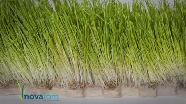 NOVATOM Taze Yem Ot Makinaları 2013 Bereket TV Reklam Filmi 1