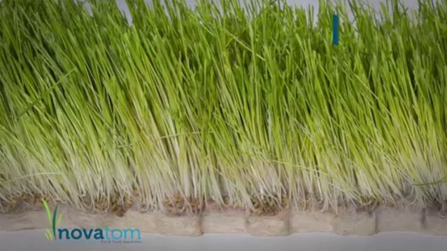 NOVATOM Taze Yem Ot Makinaları 2013 Bereket TV Reklam Filmi 2