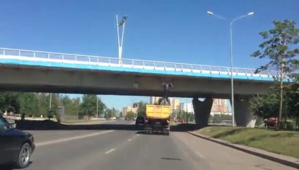 Comment en pas transporter un cerf géant