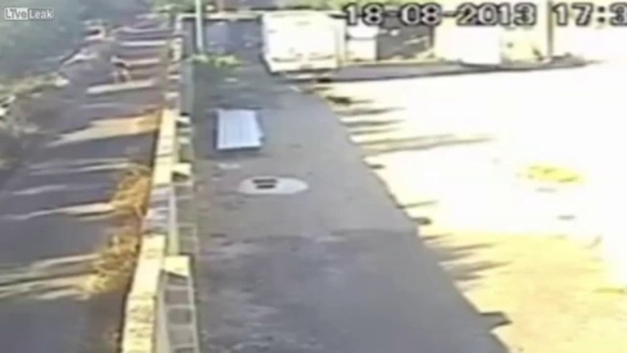 Un jogger fâché jette des petits chiots par-dessus le mur