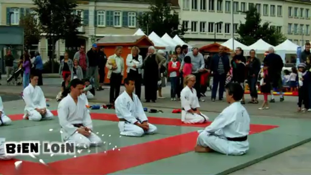 Annonce forum asso 2013