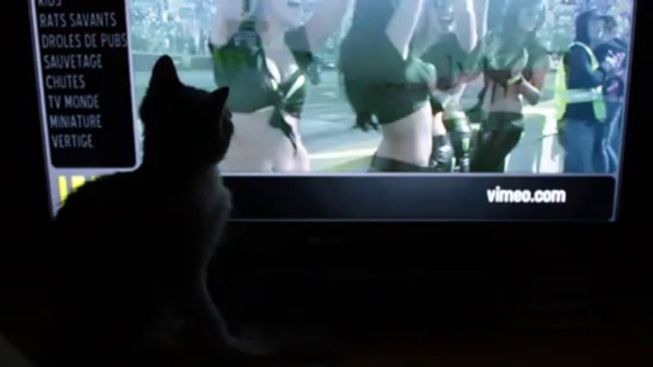 TEO CATBOY WATCHING TV