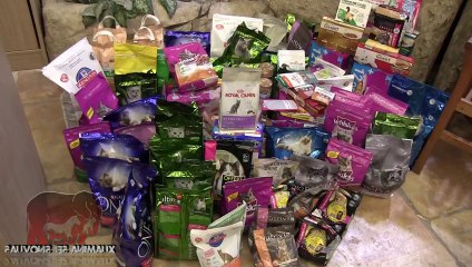 Journée caddie pour CHAT TRAP 92 (31.08.2013)