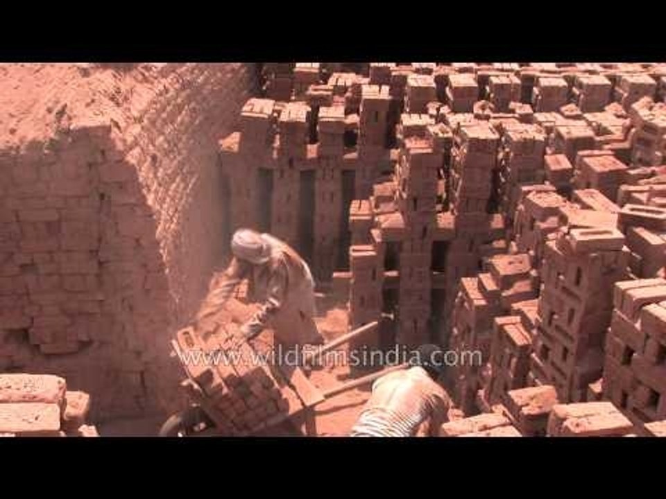 Labourers arranging bricks at brick kiln