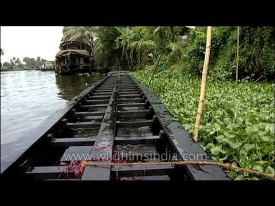 Splendid boats and backwaters: Kerala