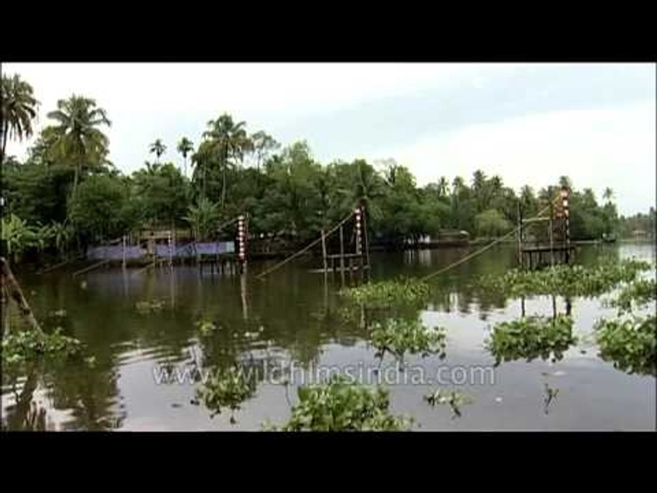 Nehru Boat Race: Allapuzha backwaters