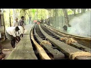 Coconut Oil, Fish Oil, Eggs and Fire: Ready the Snakeboat