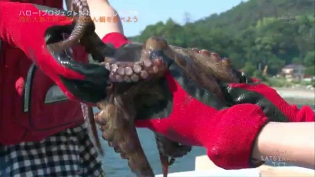 Hello! SATOYAMA Life ep63 (2013-08-30)