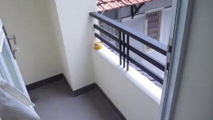 Cho thuê ngắn hạn quận 3 call 0977771919