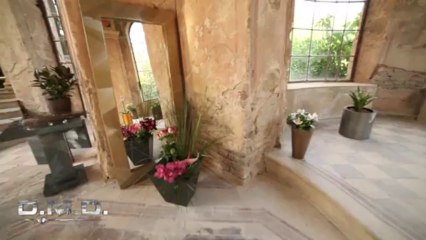 D.M.D. Luxury - Demantoid Metal Design, Shah - 01 Planter