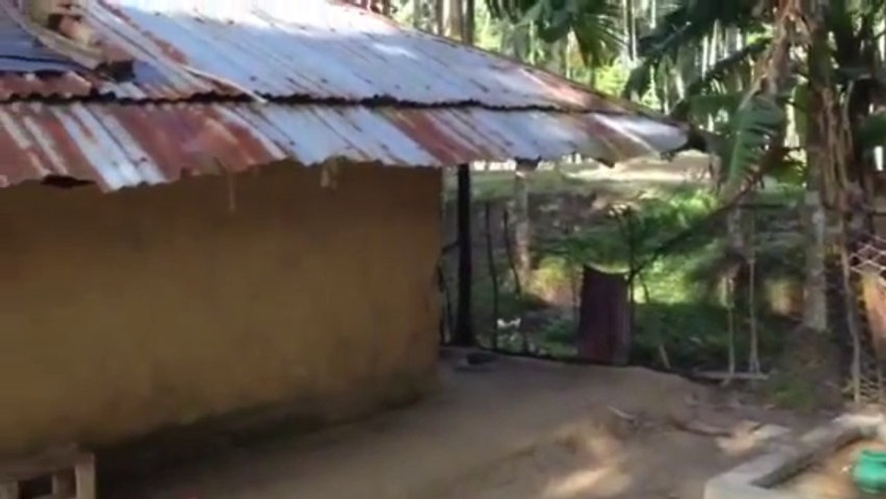 اطفال الروهنجيا يقرأون القران في دار الايتام على حدود بنغلاديش  Rohingya children read the Koran in the orphanage on the border of Bangladesh
