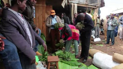 مخاوف في كينيا بعد حظر القات في المملكة المتحدة