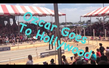 Ozcar Goes To Hollywood- Ozcar's Mdrn Life